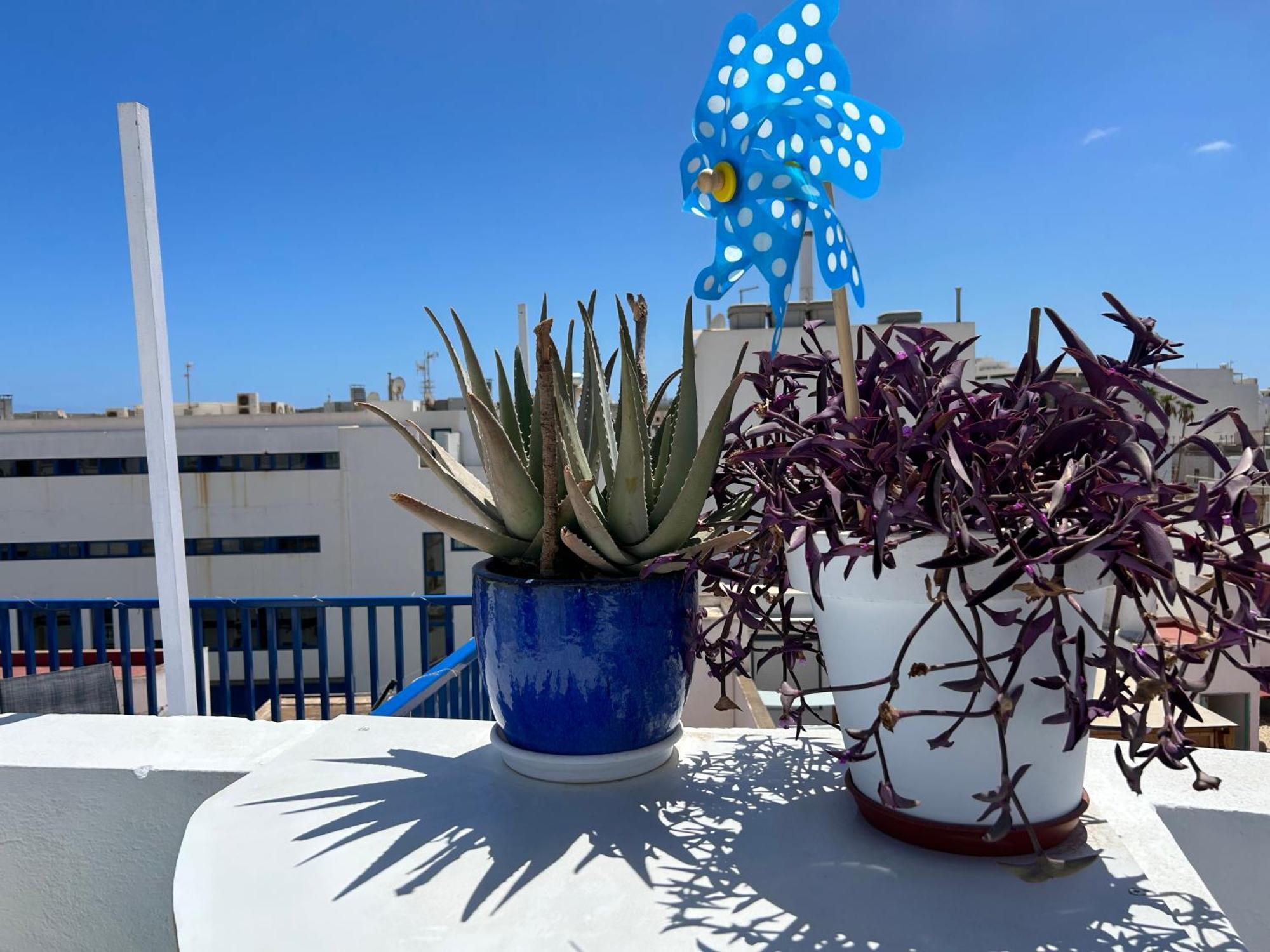 La Buganvilla Rooms Arrecife  Eksteriør billede