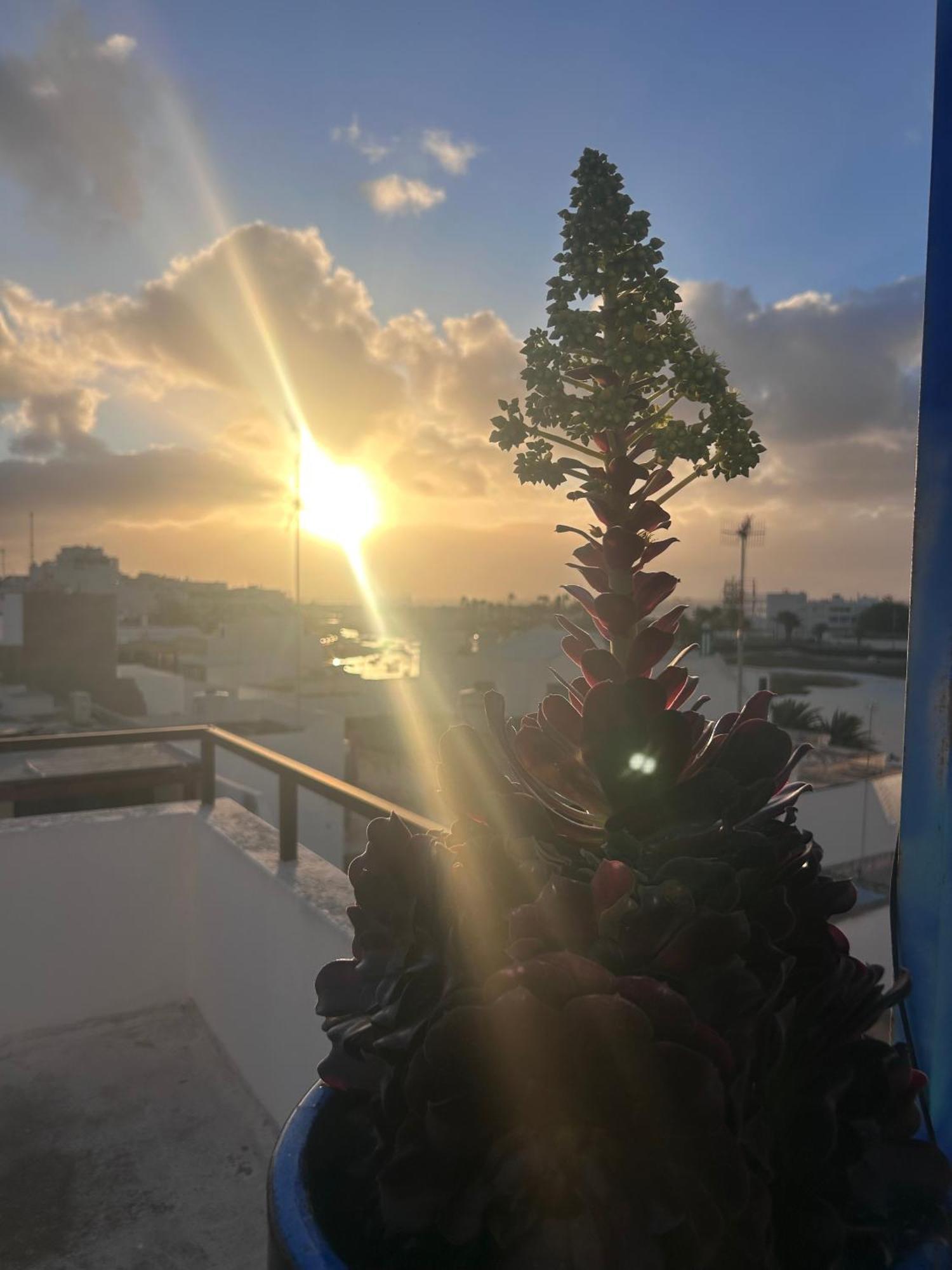 La Buganvilla Rooms Arrecife  Eksteriør billede