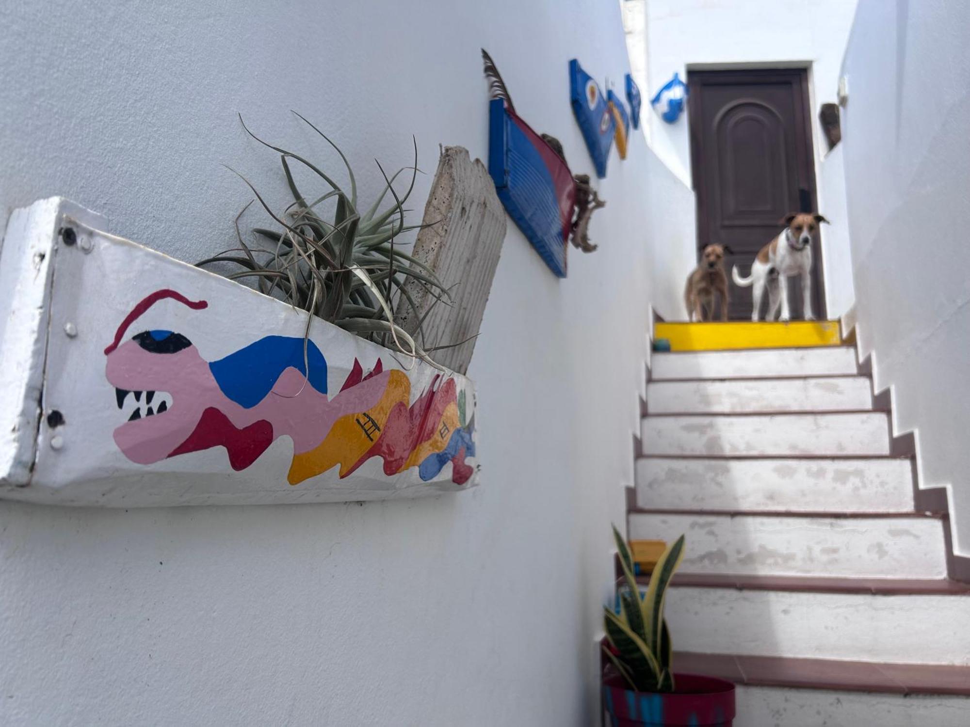 La Buganvilla Rooms Arrecife  Eksteriør billede